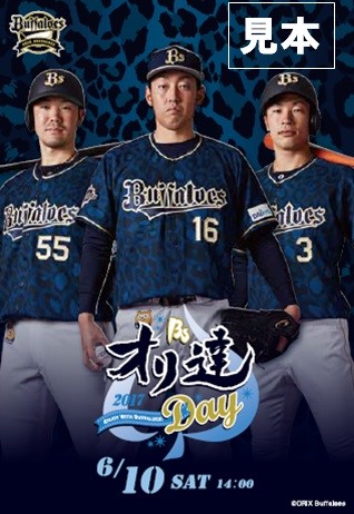 オリックスバファローズ 2017オリ姫 実使用ユニホーム 駿太選手 額装 0411_08a.jpg