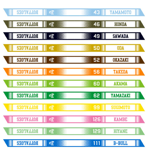 オリックス・バファローズ ボンフィン Buffaloes2025フォトボンフィン（第2弾）シークレット