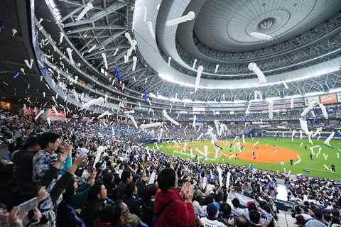 アドバンスチケット 2025 ためん オリックス・バファローズ アドバンスチケット 2025 ためん オリックス・バファローズ