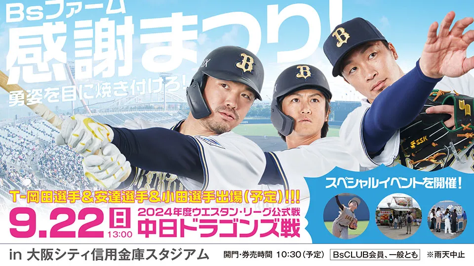 番号 野球 ヘルメット 背番号シール 軟式 公式 押せる