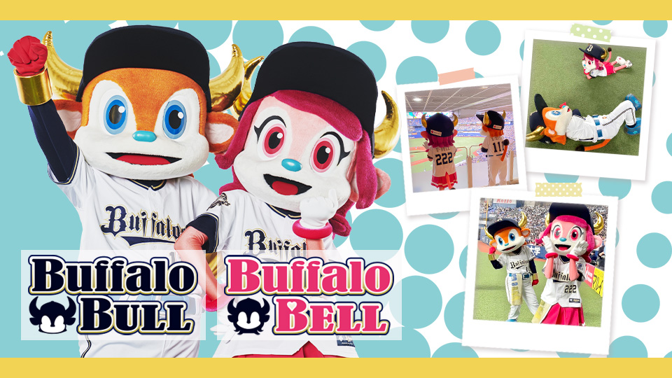 マスコット紹介 | オリックス・バファローズ マスコット紹介 | オリックス・バファローズ