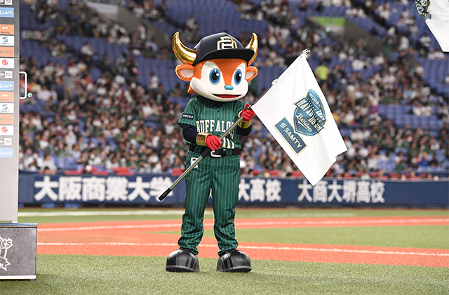受付終了】Bs夏の陣2023オークション開催！ | オリックス