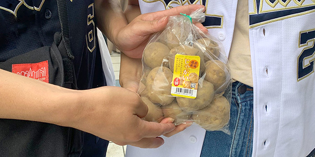 激安！　早い者勝ち　じゃがいも　04 十勝幕別町産じゃがいも10kg（デストロイヤー）【渡邉農場