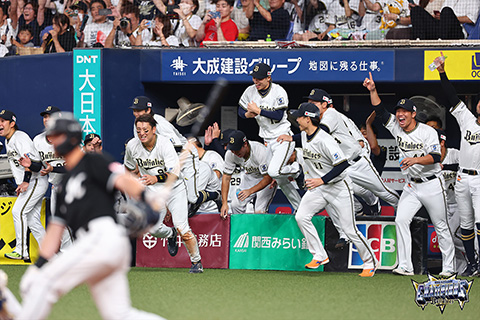 2023 オリックスバファローズ　3連覇優勝記念ユニフォーム 11月7日発売】優勝記念キャップ、優勝記念ユニフォーム発売