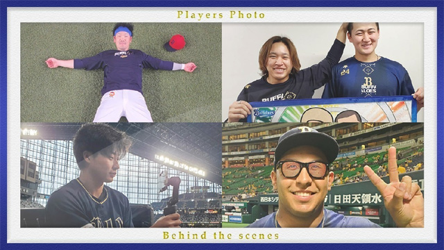 プロ野球選手★人気ブロマイド20円30付＋５連続★未開封35枚 ミントモール / MINT BASE店 (TCシングル通販) / 2022 EPOCH NPB