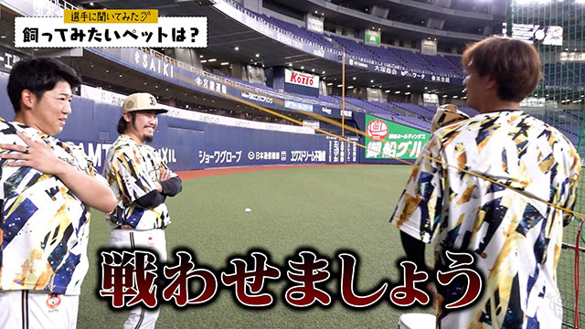 BPB DX】動画『【選手に聞いてみた！】飼ってみたいペット』公開
