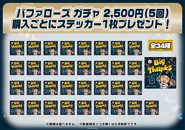 Bs Fan-Festa2024」グッズ販売イベント開催！ | オリックス