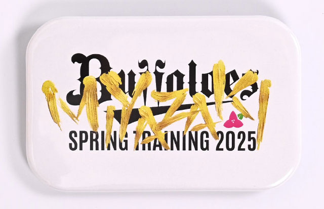 2025年春季キャンプグッズ情報第1弾！】キャンプデザイングッズ