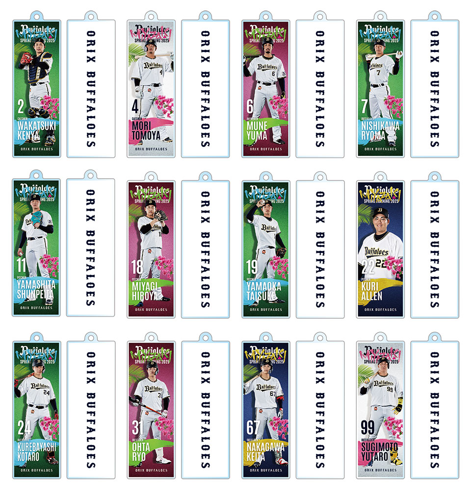 オリックスバファローズ 2025年 入会特典グッズ 3点セット オリックスバファローズ 2025年 入会特典グッズ 3点セット