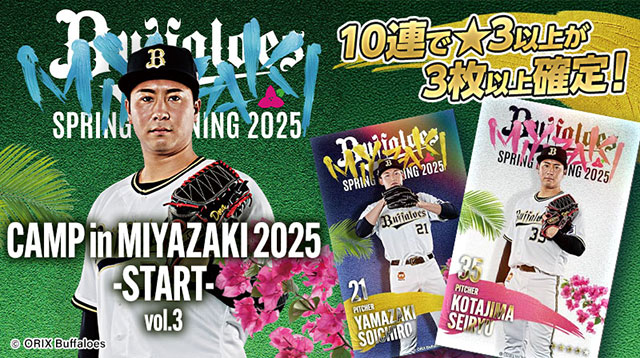 PayPayドーム駐車場 確保権利券 2025年5月2日(金)（2025年5月15