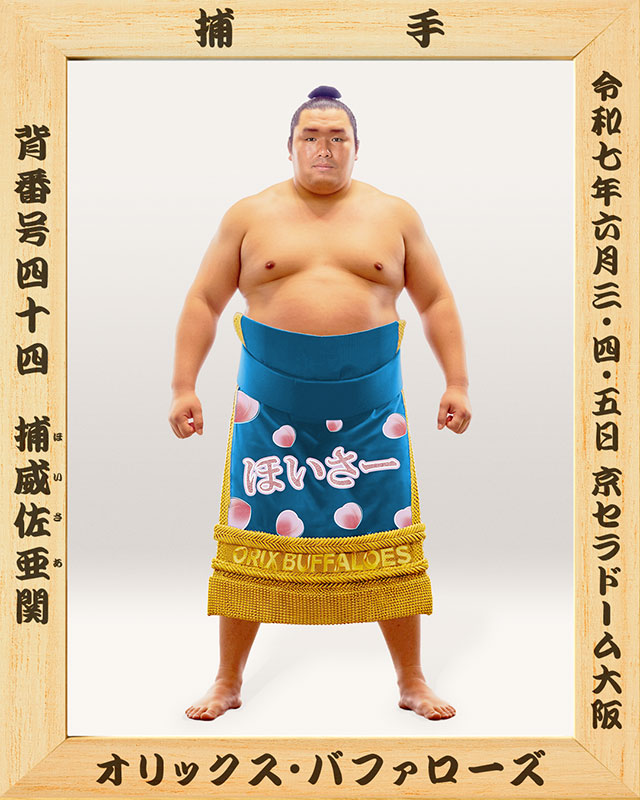 大相撲宇良関　グッズ5点 大相撲☆宇良☆希少品グッズ☆5点セット - メルカリ