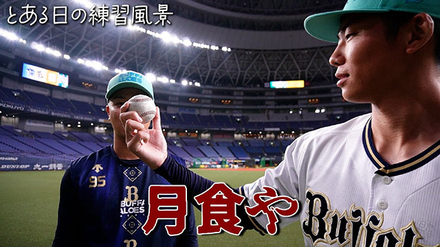 オリックスバファローズ　マチャド選手 直筆サイン入り公式戦試合球ボール（11S） Buffaloes選手プリントサインボール | オリックス・バファローズ