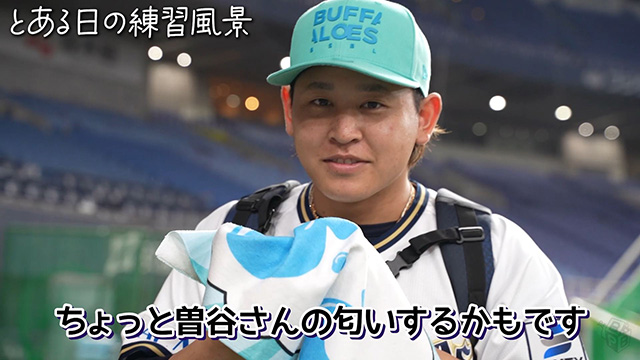 2024オリ姫DAY 実使用 公式試合球 オリックス・バファローズ プロ野球 Bsオリ姫デー2024 supported by DHC | オリックス・バファローズ