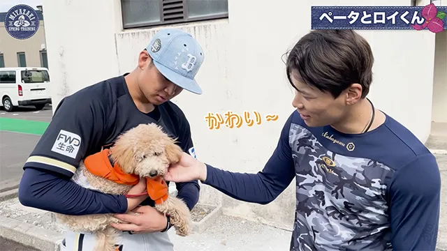 【ワンちゃんトーク】ペータとロイくん