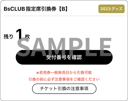 オリックス　2023オープン戦　指定席引換券　1組