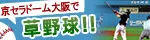 ドーム草野球（固定）