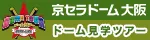 ドーム見学ツアー(固定)