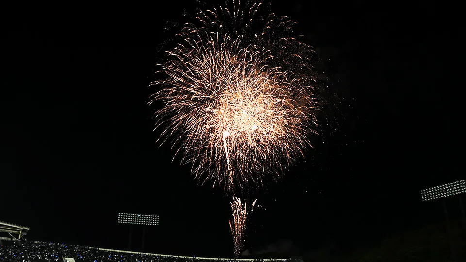 FIREWORKS 05