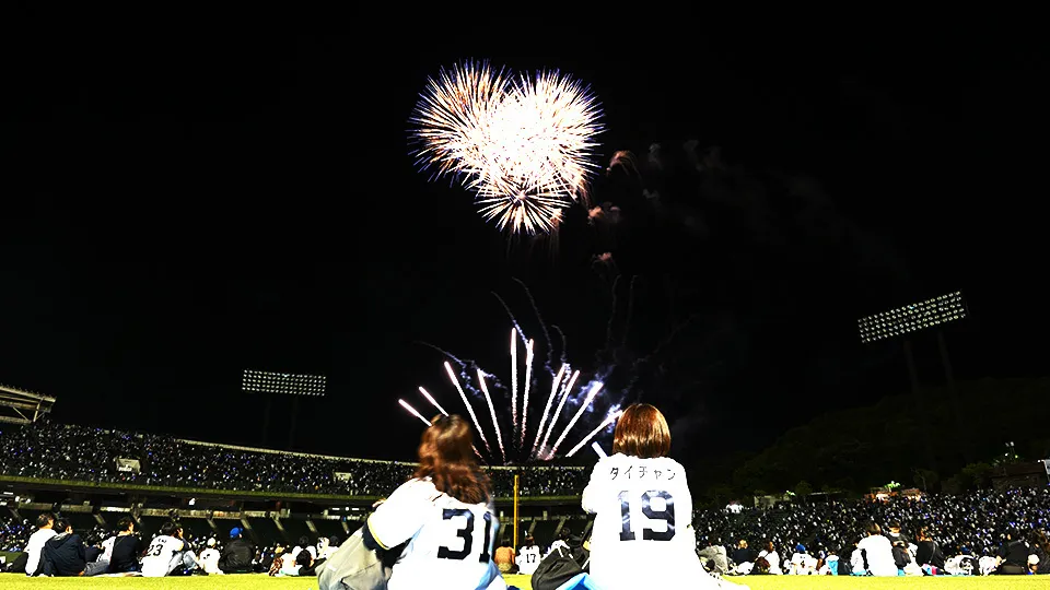 FIREWORKS 06