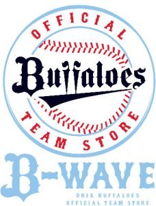 B-WAVE OFFICIAL TEAM STORE