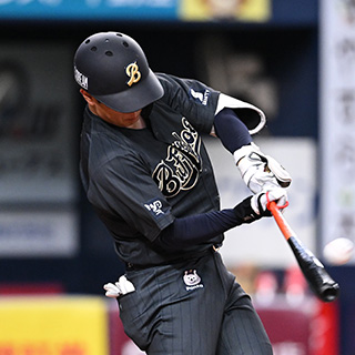 フォトギャラリー