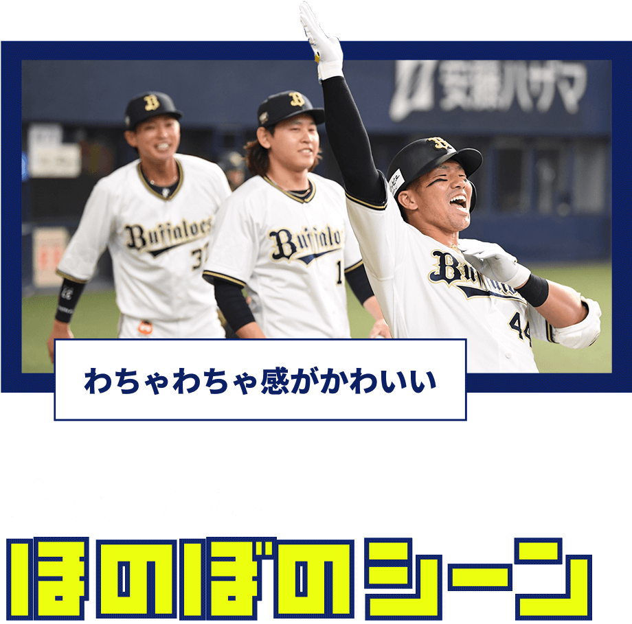 球場だけのほのぼのシーン わちゃわちゃ感がかわいい