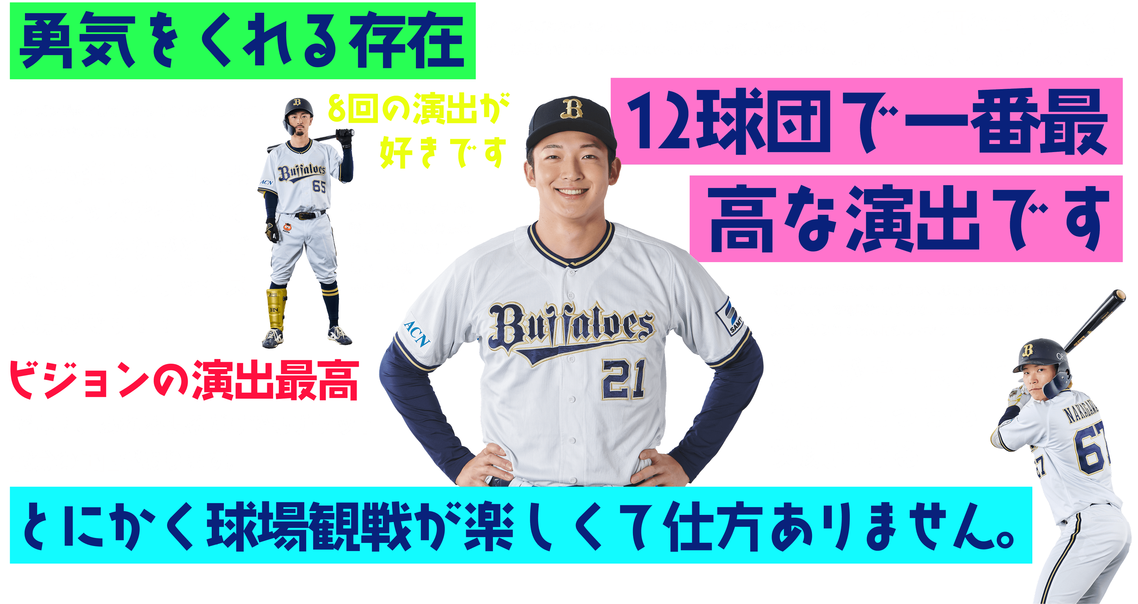 ファンの声