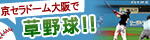 ドーム草野球(固定)