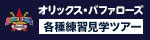 ドーム見学ツアー(固定)